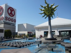 Taiyo.jpg